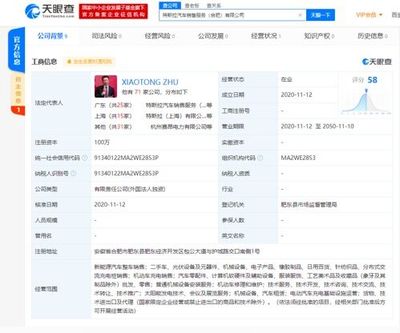 特斯拉在合肥成立新公司，注册资本100万，业务聚焦二手日用百货销售